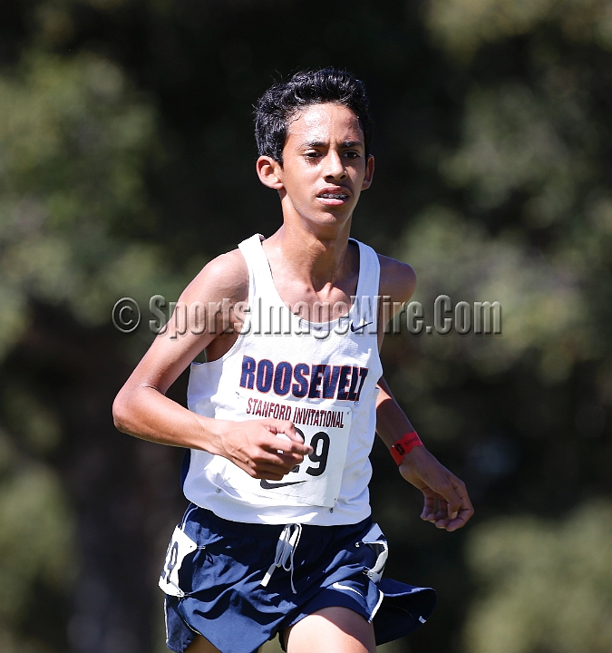2015SIxcHSSeeded-107.JPG - 2015 Stanford Cross Country Invitational, September 26, Stanford Golf Course, Stanford, California.
